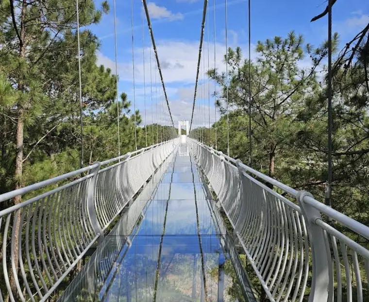Ngàn Thông Glass Bridge — Далат, 325 м · 5-слойное стекло