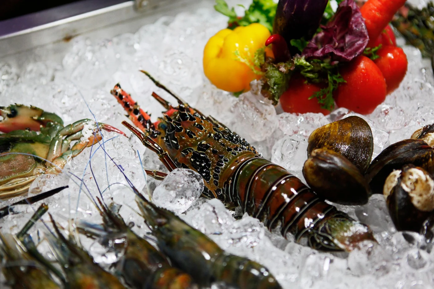 Прилавок с морепродуктами на льду