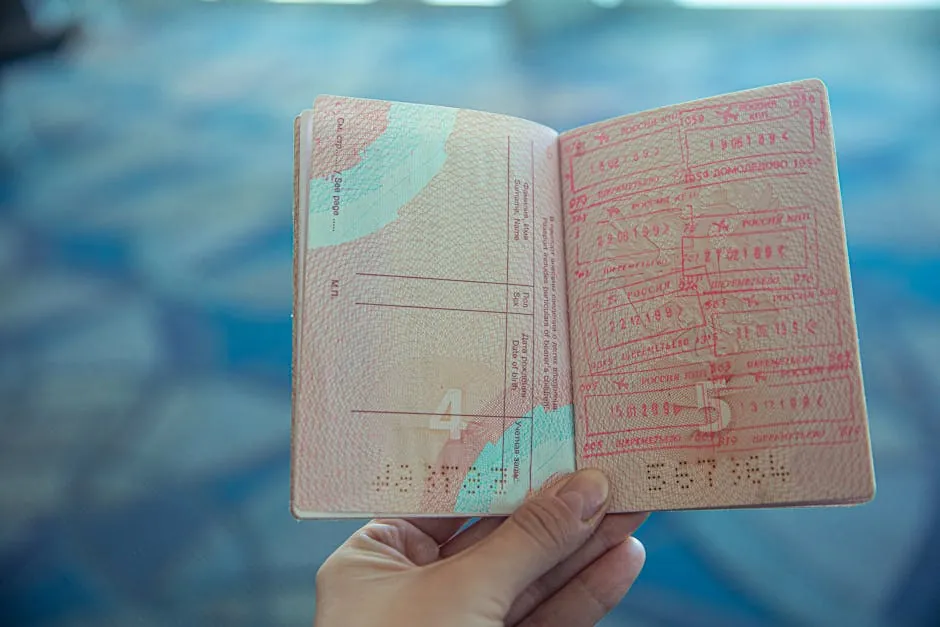 Скриншот портала e-visa Вьетнама — заполнение анкеты