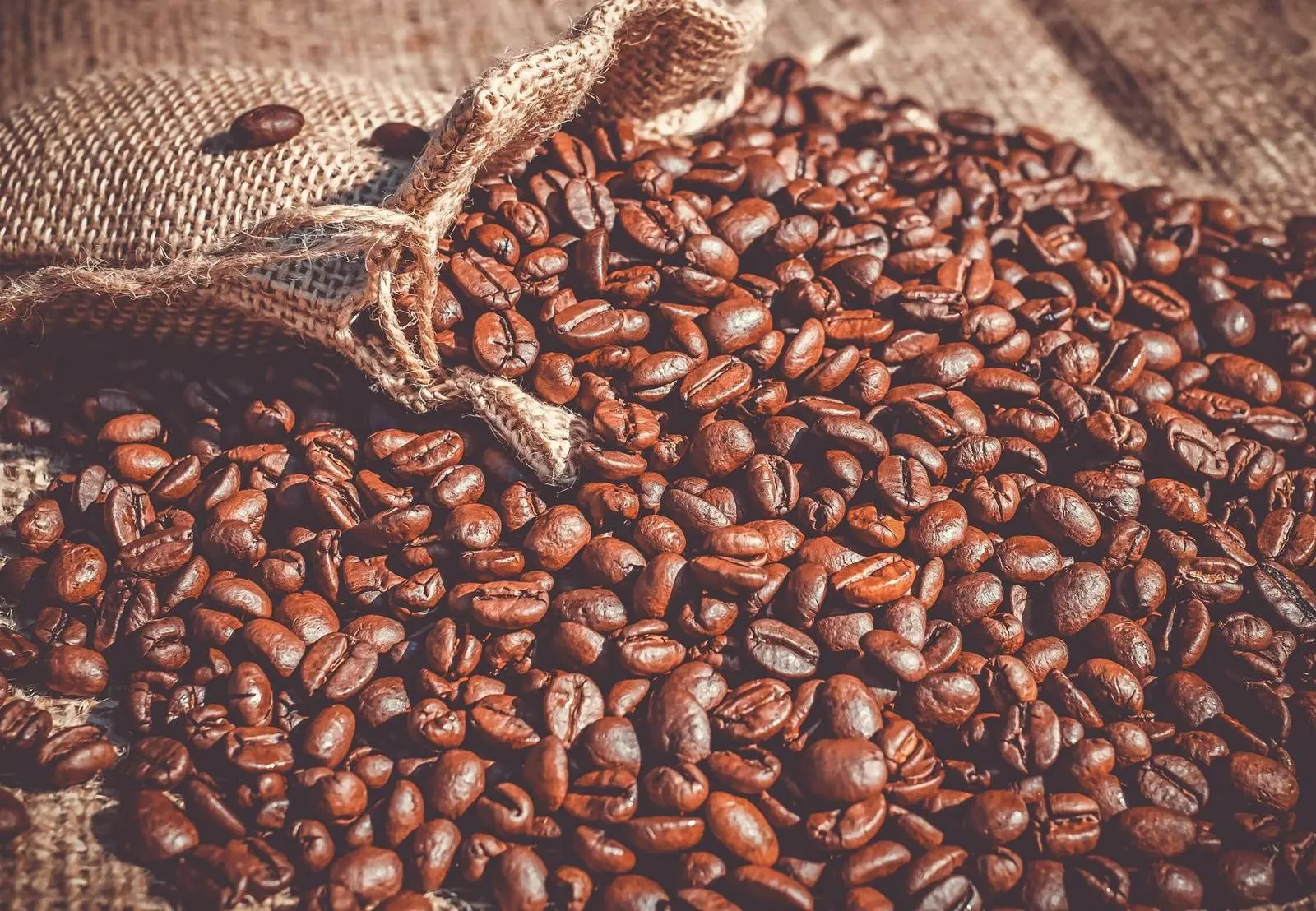 Обжаренные зёрна кофе рассыпаны из мешка